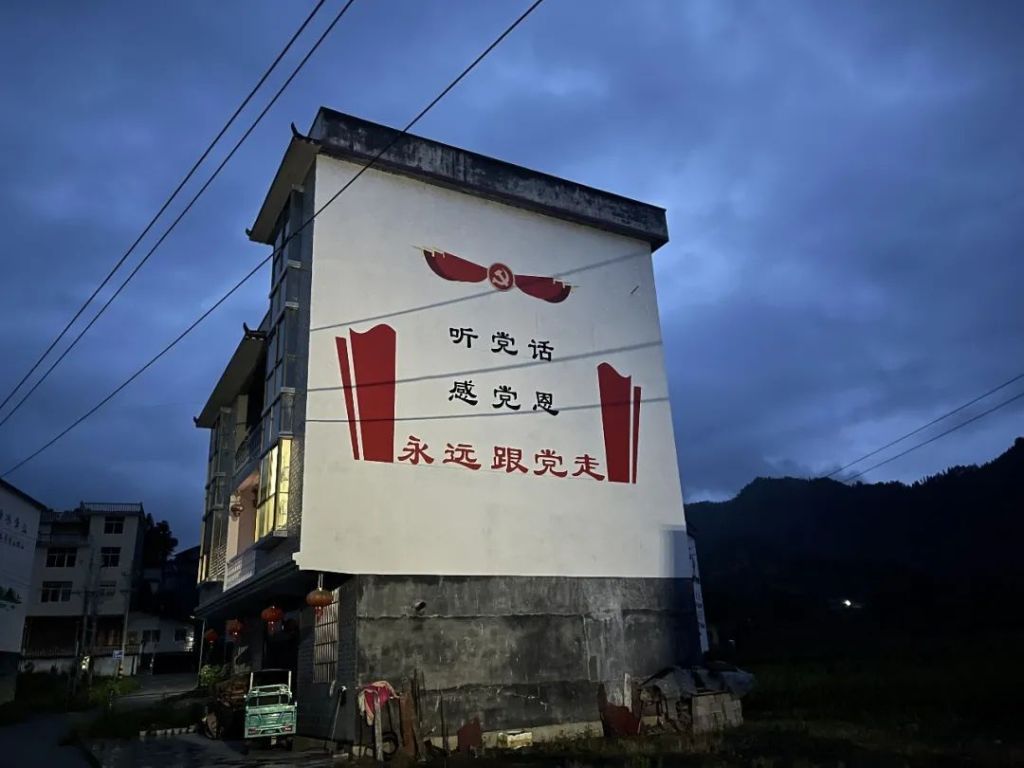 雄鸡注视乡村：你家安装监控了吗？